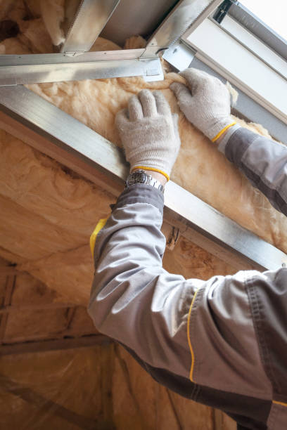 Best Insulation for New Construction  in Farmington, MN