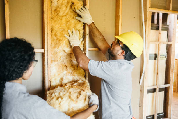 Best Insulation Replacement Services  in Farmington, MN