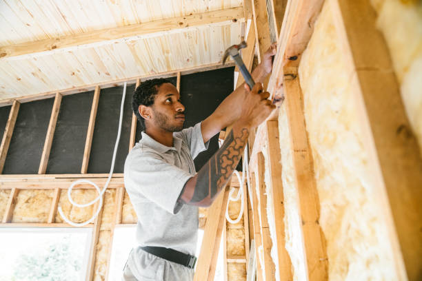 Best Insulation Contractor Near Me  in Farmington, MN